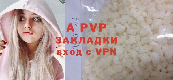 индика Каменногорск