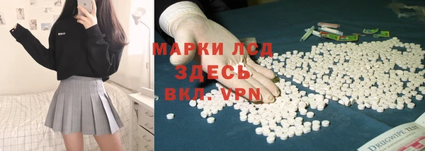 индика Каменногорск