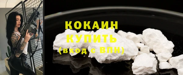 индика Каменногорск
