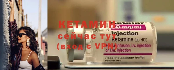 индика Каменногорск