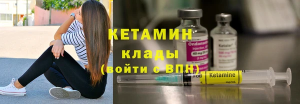 индика Каменногорск