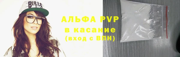 индика Каменногорск