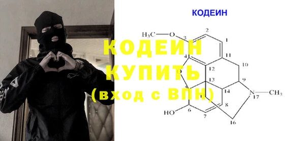 индика Каменногорск