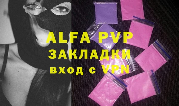 молекула духа Каменка