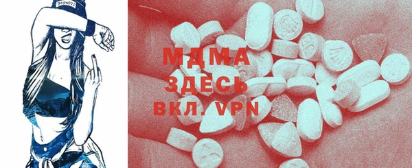 индика Каменногорск