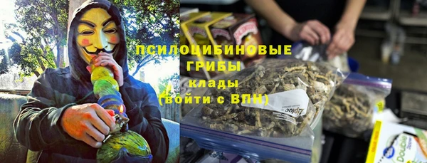 индика Каменногорск