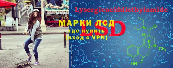 индика Каменногорск