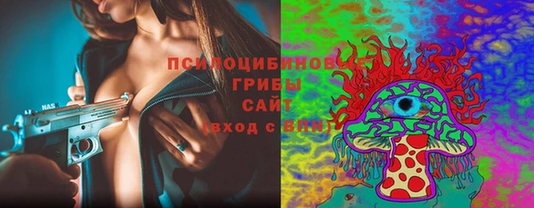 индика Каменногорск