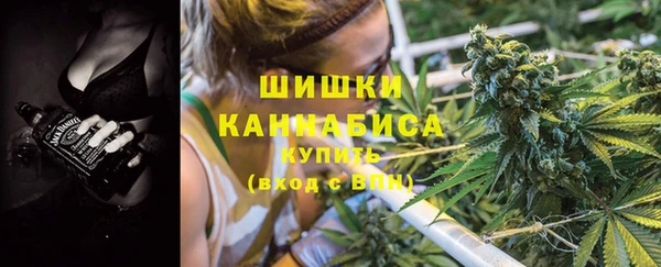 индика Каменногорск
