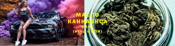 молекула духа Каменка