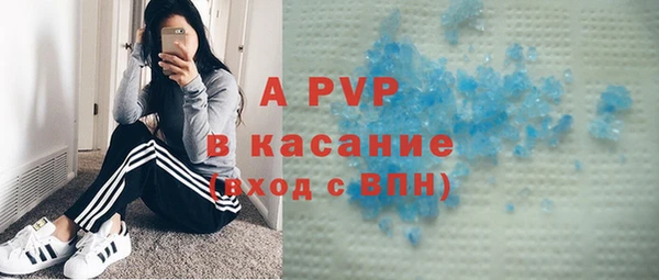 индика Каменногорск