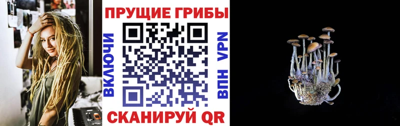 наркошоп  Ачинск  Галлюциногенные грибы Magic Shrooms 